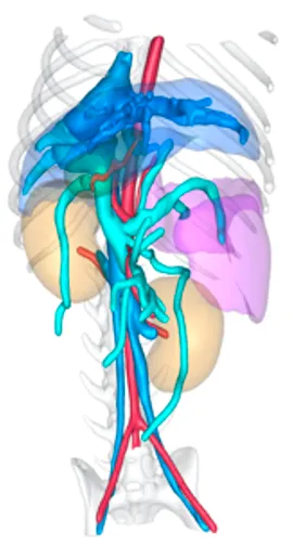 Veterinary 3D planning article visual